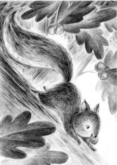 a drawing of a squirrel in the woods