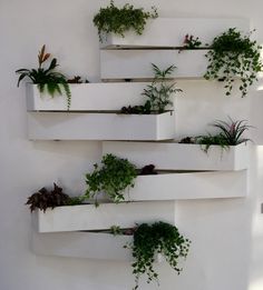 several white planters are arranged on the wall