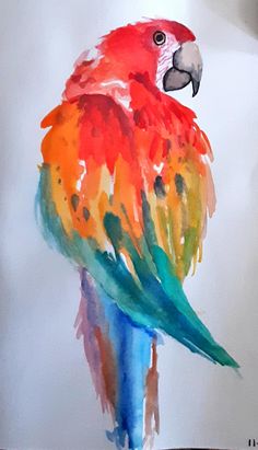 a painting of a colorful parrot on a white background