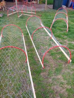 several red and white baseball bats in a net on the grass near a dog park