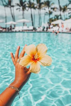 a person's hand holding a flower in front of a swimming pool with palm trees