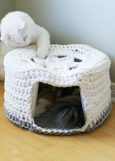 a cat sitting in a crocheted pet bed on the floor next to a wall