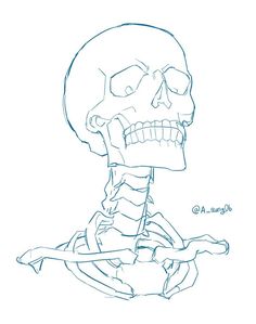 a drawing of a skeleton sitting on the ground with its head tilted to the side