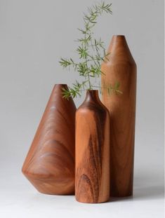 three wooden vases sitting next to each other on a white surface with a green plant in the middle