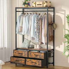 an open closet with drawers and clothes hanging on the wall next to a potted plant