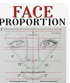 the face proportion is shown in this book