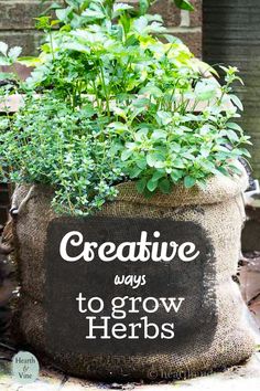 a bag filled with plants sitting on top of a sidewalk