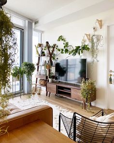 a living room filled with lots of plants next to a large tv mounted on a wall