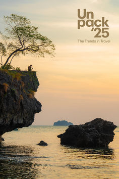 a man standing on top of a rock next to the ocean with a tree growing out of it