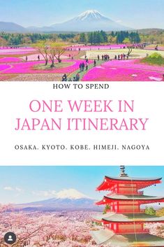 the cover of how to spend one week in japan itinerary