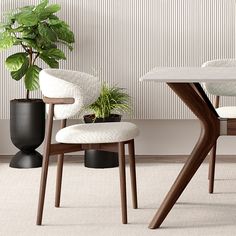 two chairs and a table in front of a wall with a potted plant on it