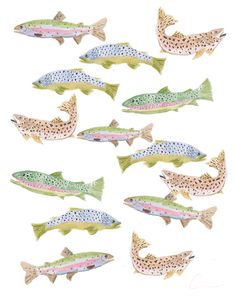 six different colored fish with spots on them