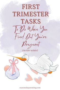 a stork carrying a baby in a bag with the words first trimester tasks to