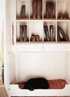 a black dog laying on top of a bed in a room filled with boots and brooms