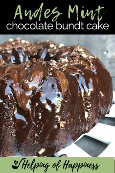 a chocolate bundt cake on a plate with the title above it that reads,