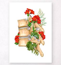 a medical illustration of the bones and flowers