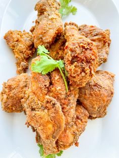 fried food on a white plate with parsley