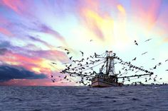 a large boat floating on top of a body of water under a colorful sky with birds flying over it