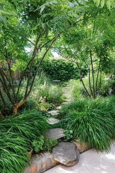 a garden with lots of green plants and rocks