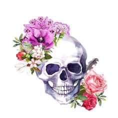 watercolor skull with flowers and leaves on white background stock photo royaltyvectors