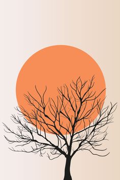 a tree with no leaves in front of an orange sun