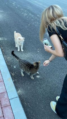 a woman is walking down the street with two cats and one cat is looking at something in her hand