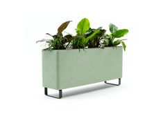 a green planter with plants in it