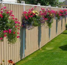 three different types of flowers hanging on the side of a fence