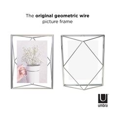 the original geometric wire picture frame has been designed to look like it is holding a potted plant