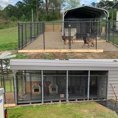 two dogs are in their kennels at the dog park