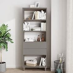 a living room with a potted plant and bookshelf on the floor next to it