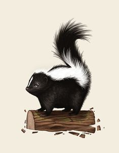 a skunky animal standing on top of a piece of wood with its tail sticking out