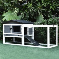 a white and black cat house in the grass