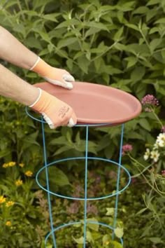 a person in white gloves holding a pink plate on top of a blue metal stand