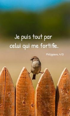 a bird sitting on top of a wooden fence with a quote above it that says, je puis tout par ceu qui me fortie