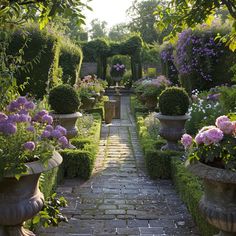 an outdoor garden with many potted plants and flowers on the walkway between two rows of hedges