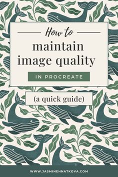 the front cover of how to maintain image quality in procreate by quick guide