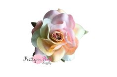 1.5" PREMIUM Watercolor Rainbow Paper Rose Craft Flowers, Rainbow Paper, Watercolor Rainbow, Paper Rose, Baby Trend, Paper Tags