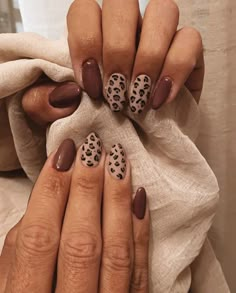 Brown Nails Leopard, Fall Cute Nails Ideas, Fall Nails Each Nail Different Color, Brown Nails Cheetah, Autumn Nails Leopard Print, Fall Nails Leopard Print, Brown And Leopard Nails, September Nail Inspiration, Autumn Leopard Print Nails