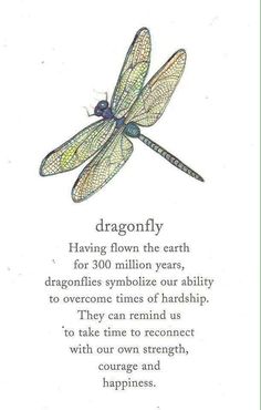 a dragonfly is shown on the back of a card that reads,'dragonfly having flown the earth for 300 million years, dagonics symbolize our ability to overcome