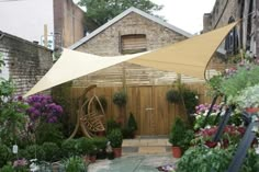 an outdoor area with lots of flowers and plants