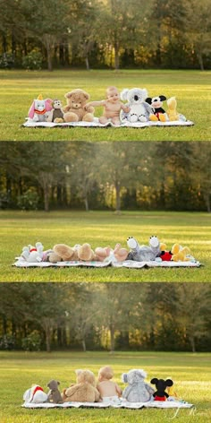 there are many stuffed animals laying on the blanket in the grass with trees in the background