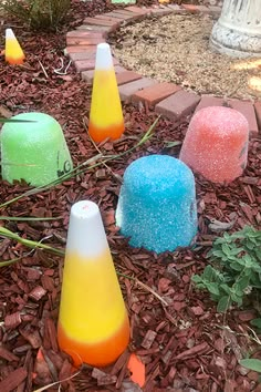 there are many different colored cones on the ground in front of some plants and flowers