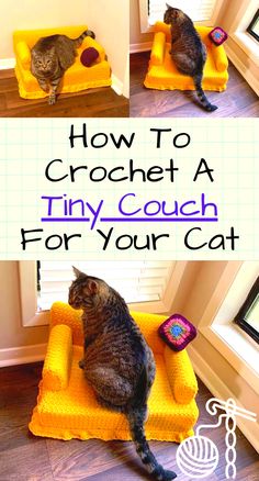 a cat sitting on top of a couch with the words how to crochet a tiny couch for your cat