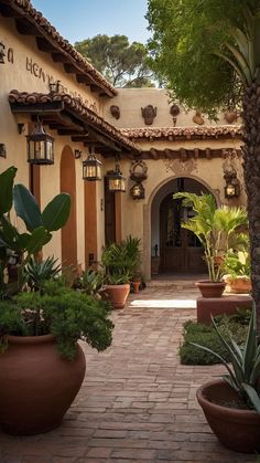 an outdoor courtyard with potted plants and trees