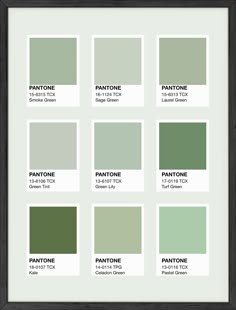 the pantone green color scheme is shown in several different shades, including light green and dark