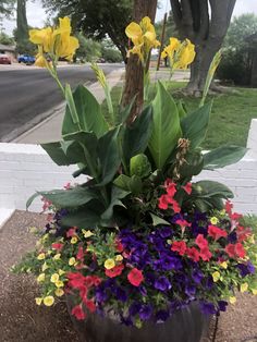 a potted planter filled with lots of colorful flowers next to a tree on the sidewalk