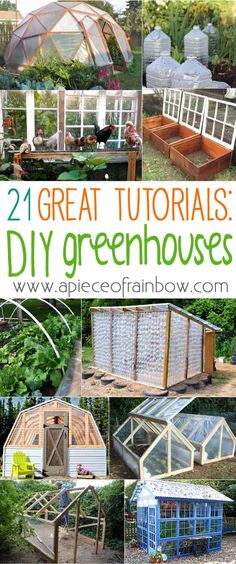 several pictures of greenhouses with text overlay that reads, 2 great tutors diy greenhouses