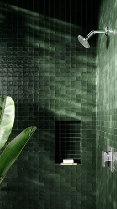 a green tiled bathroom with a plant in the corner and shower head on the wall