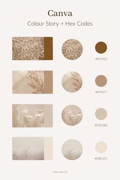 the color scheme for canva is shown in shades of beige, brown and white